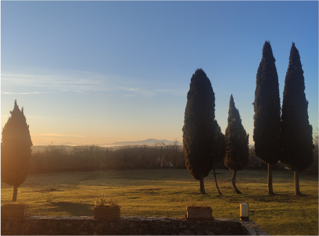 Tuscany POL