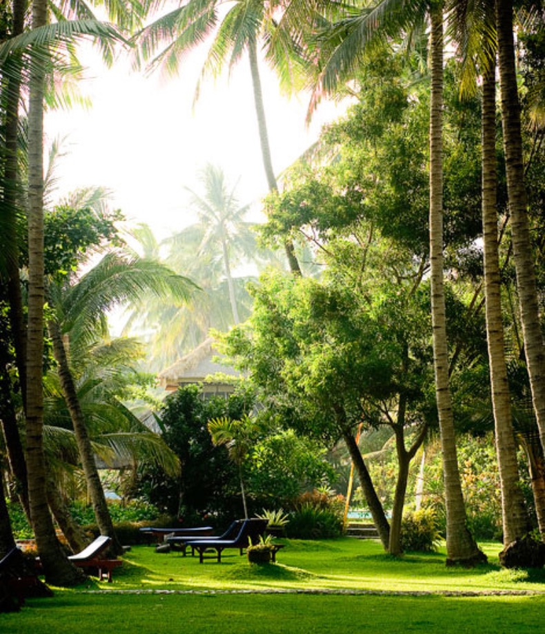 Bali Landscape